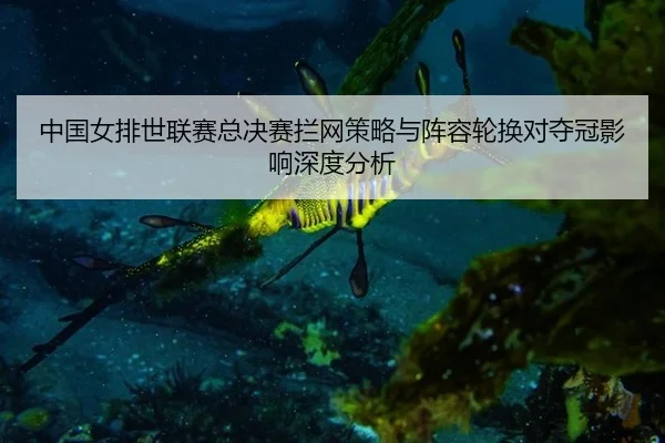 中国女排世联赛总决赛拦网策略与阵容轮换对夺冠影响深度分析