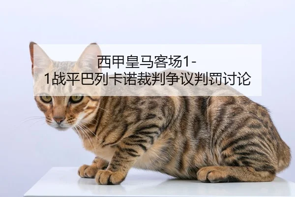 西甲皇马客场1-1战平巴列卡诺裁判争议判罚讨论