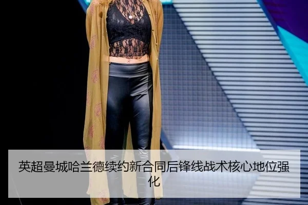 ying-chao-man-cheng-ha-lan-de-xu-yue-xin-he-tong-hou-feng-xian-zhan-shu-he-xin-di-wei-qiang-hua-2-352.jpg