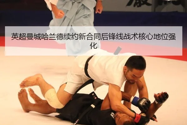 ying-chao-man-cheng-ha-lan-de-xu-yue-xin-he-tong-hou-feng-xian-zhan-shu-he-xin-di-wei-qiang-hua-3-384.jpg