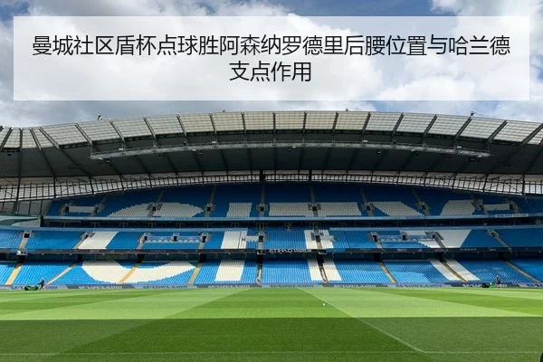 man-cheng-she-qu-dun-bei-dian-qiu-sheng-a-sen-na-luo-de-li-hou-yao-wei-zhi-yu-ha-lan-de-zhi-dian-zuo-yong-3-931.jpg
