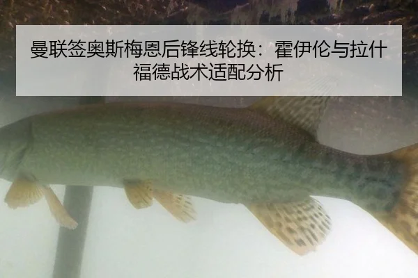 man-lian-qian-ao-si-mei-en-hou-feng-xian-lun-huan-huo-yi-lun-yu-la-shen-fu-de-zhan-shu-shi-pei-fen-xi-2-177.jpg